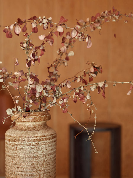 Laine Magazine Summer - Issue 18