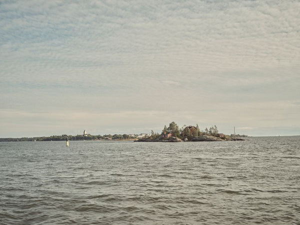 Laine Magazine Spring - Issue 20