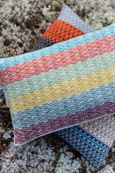 The Knitted Fabric: Colourwork Projects For You And Your Home - Dee Hardwicke