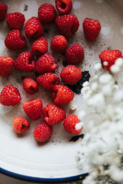 Laine Magazine Autumn - Issue 14