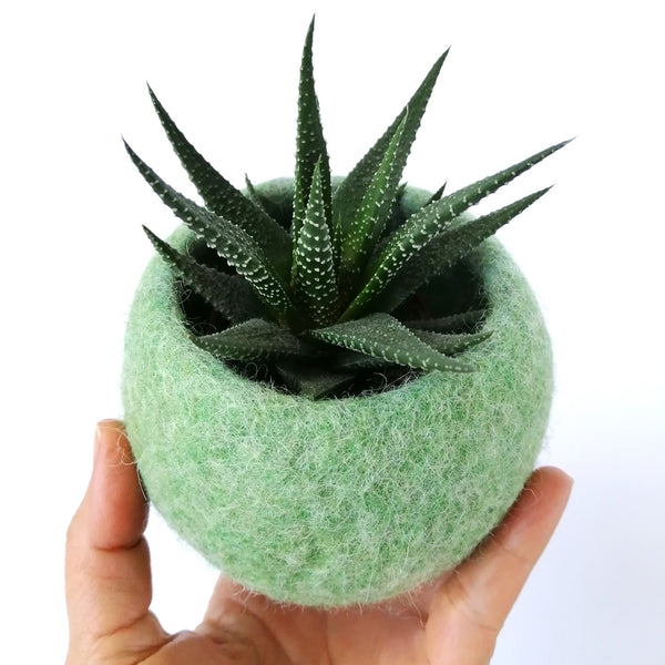 Corso di feltro ad acqua per bambine e bambini con Infeltriscimi